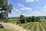 VivArdent - Sprimont - Vue extérieure du vignoble