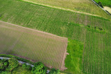 VivArdent - Sprimont - Vue extérieure aérienne du vignoble